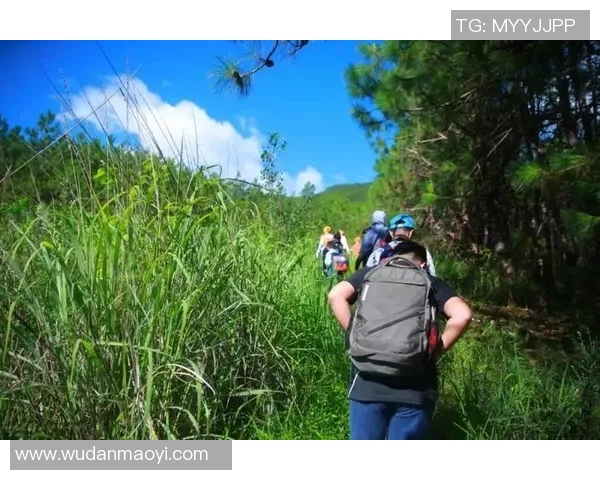 探索偃师户外之美体验自然与历史交融的奇妙旅程