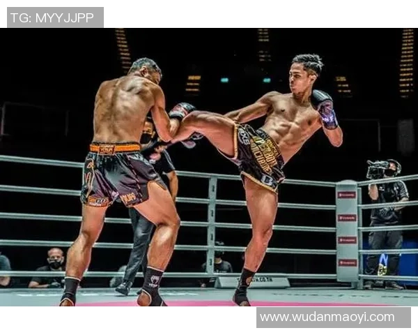 苏波邦与金童的巅峰对决谁能笑到最后揭开拳坛新篇章
