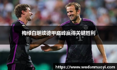 梅绿白继续德甲巅峰赢得关键胜利