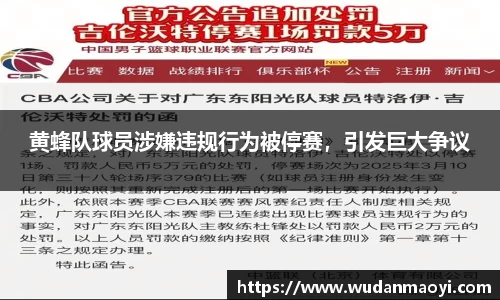 黄蜂队球员涉嫌违规行为被停赛，引发巨大争议