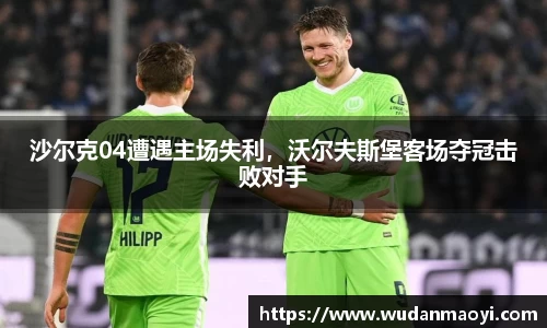 沙尔克04遭遇主场失利，沃尔夫斯堡客场夺冠击败对手