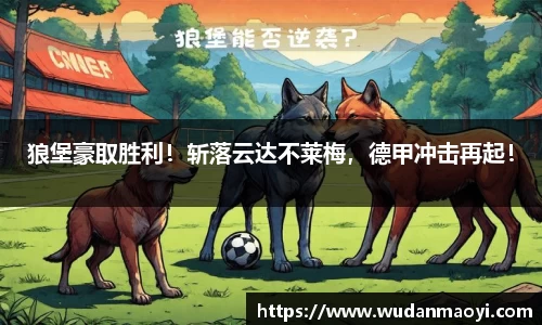 狼堡豪取胜利！斩落云达不莱梅，德甲冲击再起！