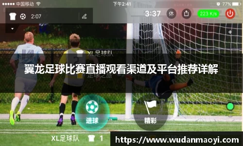 翼龙足球比赛直播观看渠道及平台推荐详解