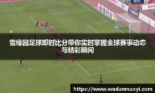 雪缘园足球即时比分带你实时掌握全球赛事动态与精彩瞬间