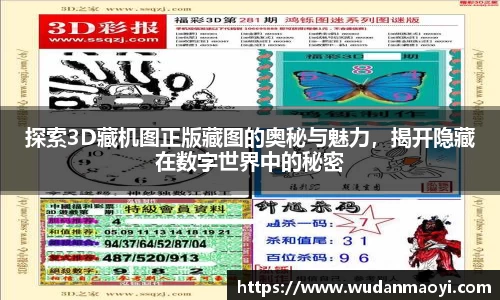 探索3D藏机图正版藏图的奥秘与魅力，揭开隐藏在数字世界中的秘密