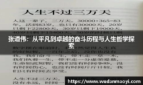 张道伟：从平凡到卓越的奋斗历程与人生哲学探索