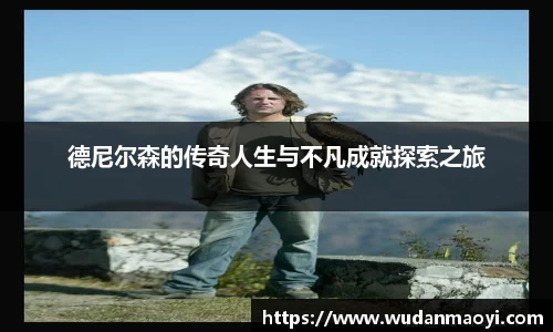 德尼尔森的传奇人生与不凡成就探索之旅