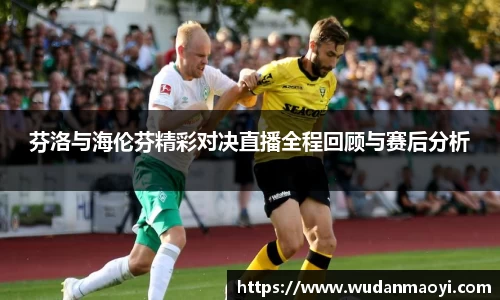 芬洛与海伦芬精彩对决直播全程回顾与赛后分析