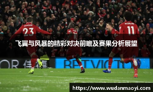飞翼与风暴的精彩对决前瞻及赛果分析展望